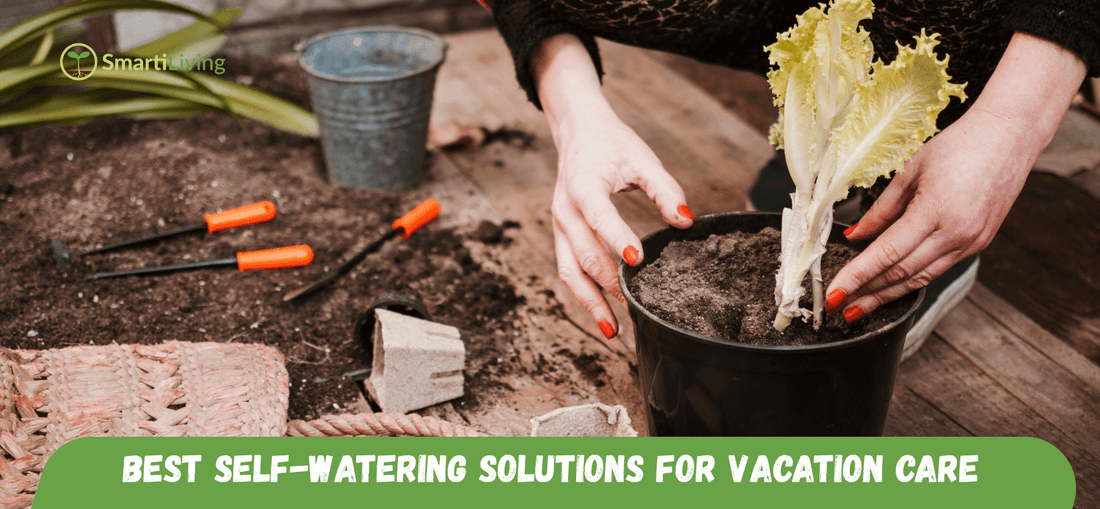 Best Self-Watering Solutions for Vacation Care - SmartiLiving