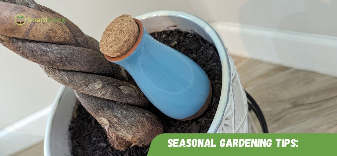 Seasonal Gardening Tips: SmartiLiving
