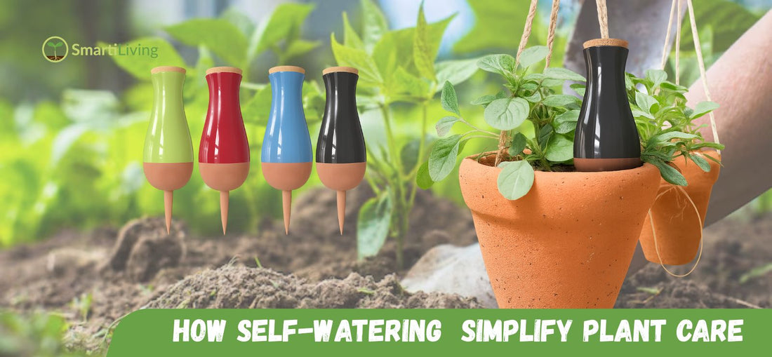 Self Watering: The Smart Solution for Modern Plant Care