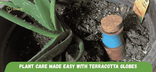 🍂 Fall Plant Care Made Easy with Terracotta Self-Watering Globes - SmartiLiing