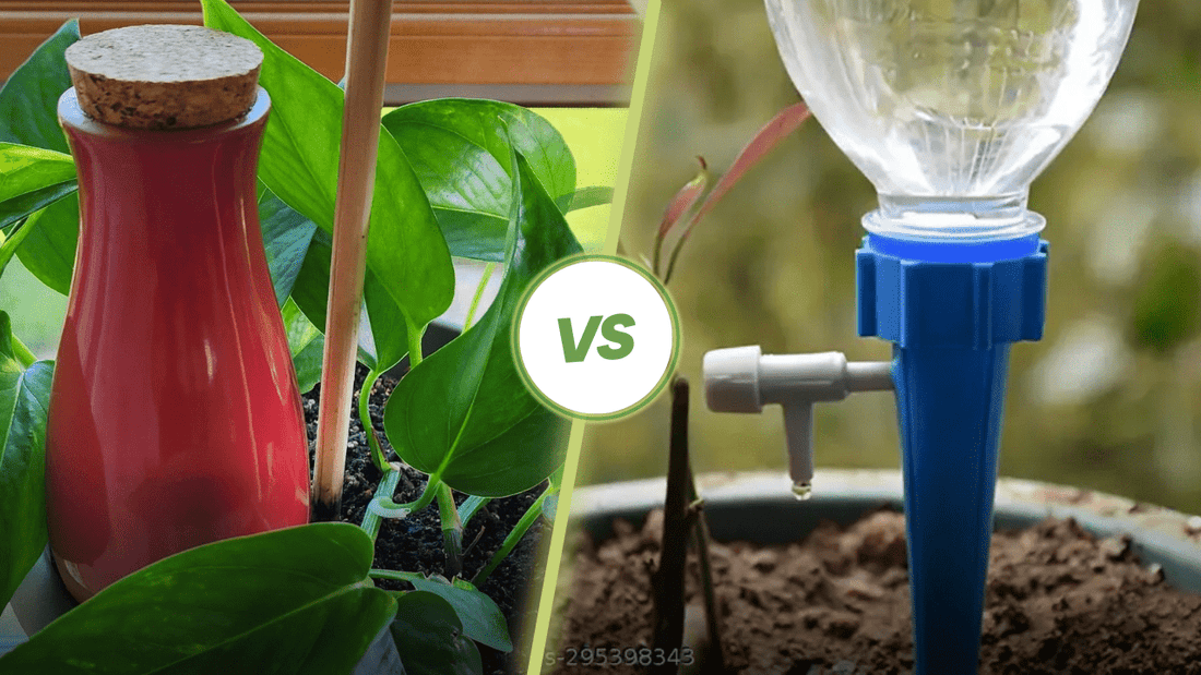 Terracotta vs. Plastic Self Watering Spikes: Why Smartiliving’s Design Wins