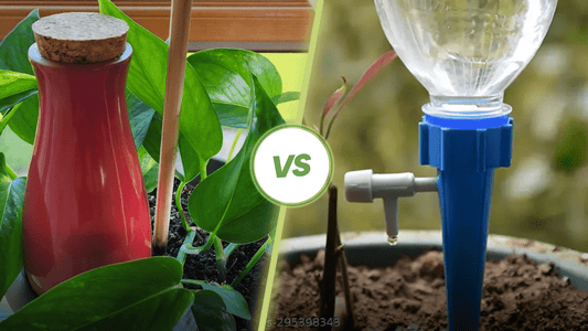 Terracotta vs. Plastic Self Watering Spikes: Why Smartiliving’s Design Wins