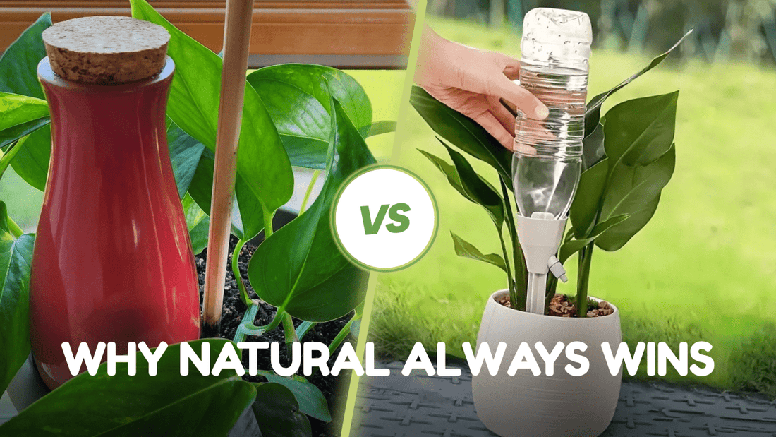 Terracotta vs Plastic Watering Stakes: Why Natural Always Wins - SmartiLiving