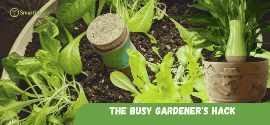 3 Reasons Watering Globes Are Spring’s Gardening Must Have Tool - SmartiLiving