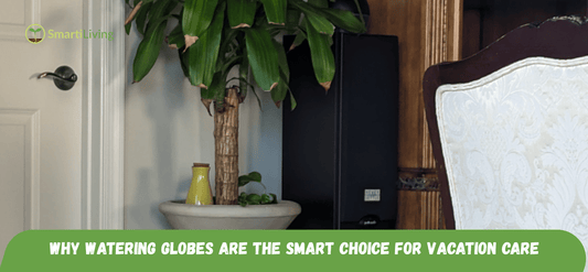Why Watering Globes Are the Smart Choice for Vacation Care - SmariLiving