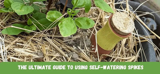 The Ultimate Guide to Using Self-Watering Spikes for Memorial Day Travel - SmartiLiving