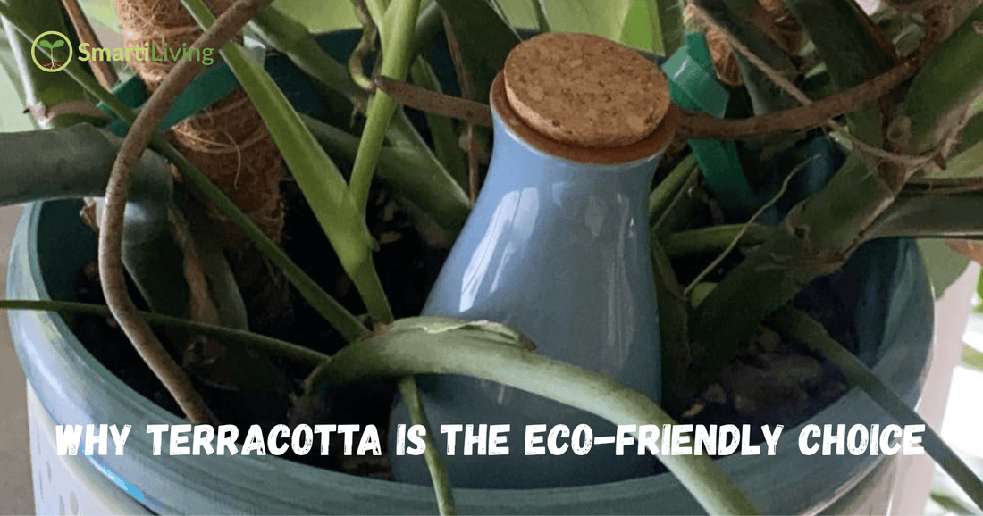 Why Terracotta is the Eco-Friendly Choice for Self-Watering System - SmartiLiving