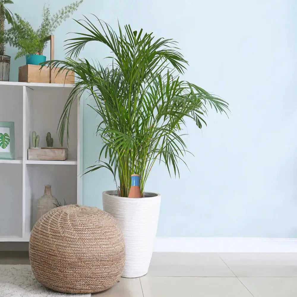 how-we-are-different-image