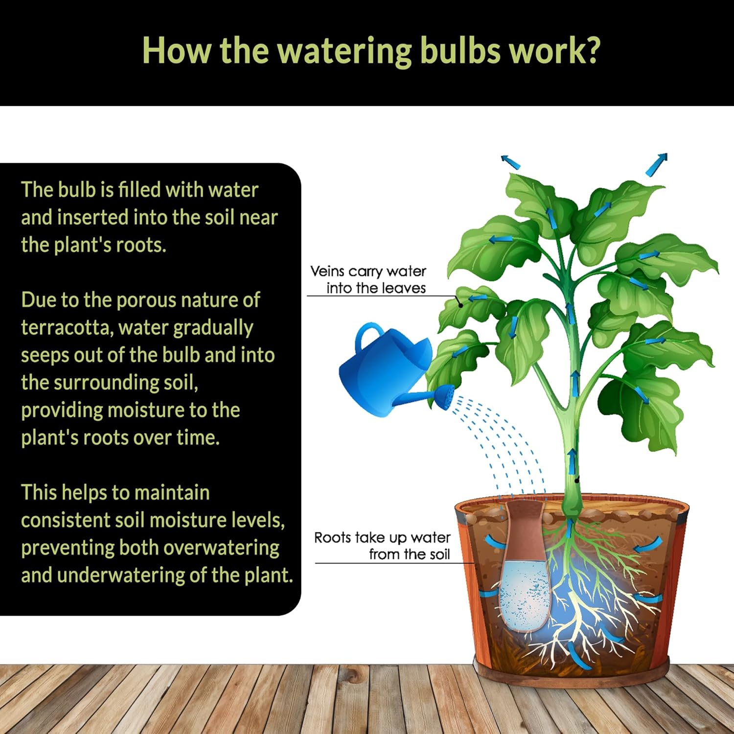 watering bulbs for indoor plants Terracotta Self-Watering Globes for Plants