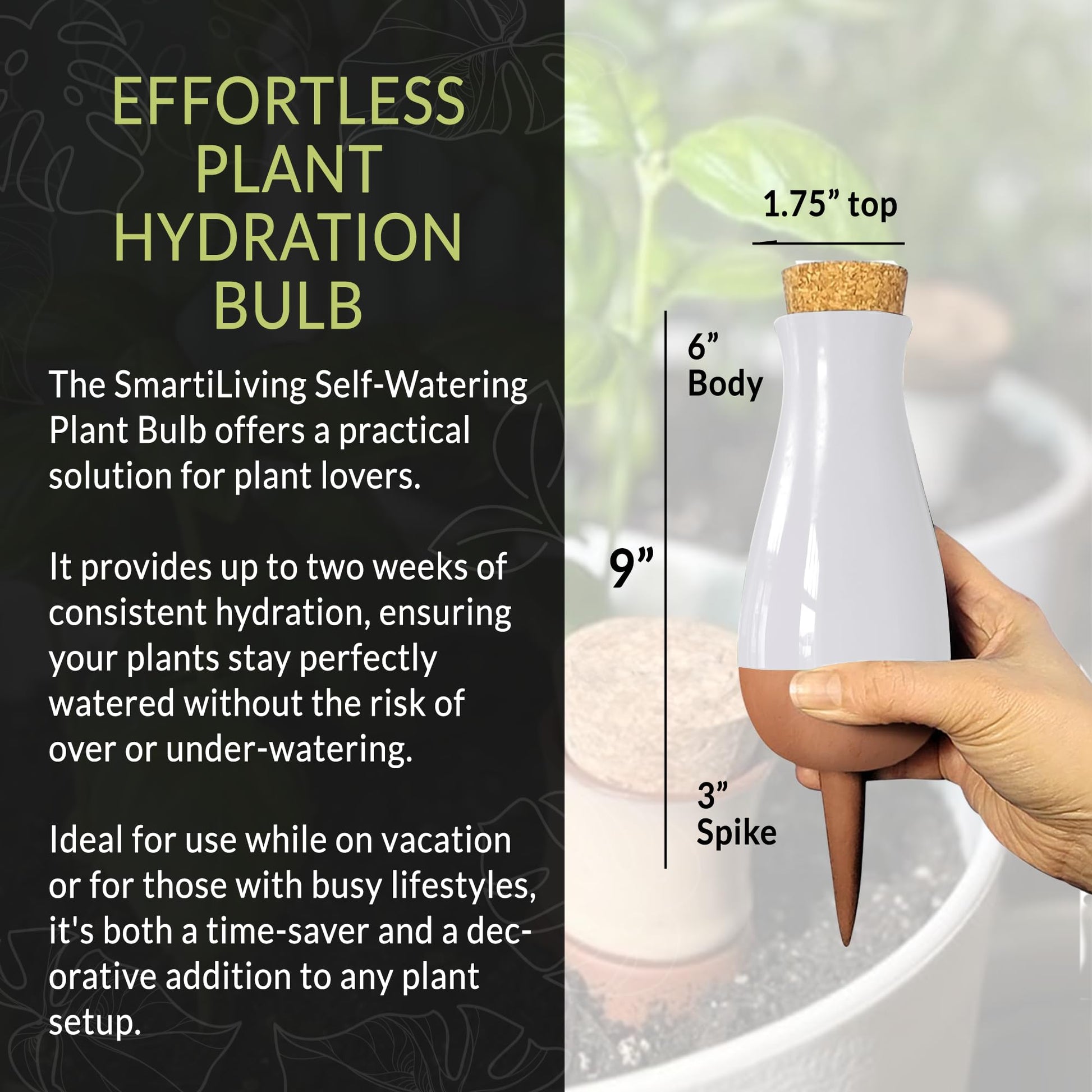 self watering plant stakes Buy Terracotta Watering Spikes