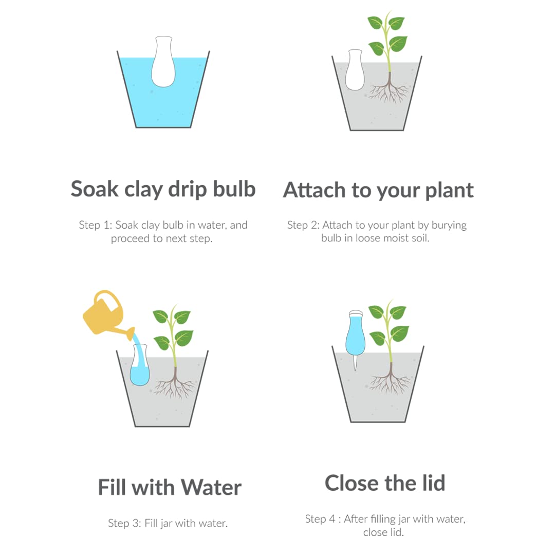 do you water bulbs after planting in pots Terracotta Self-Watering Globes for Plants